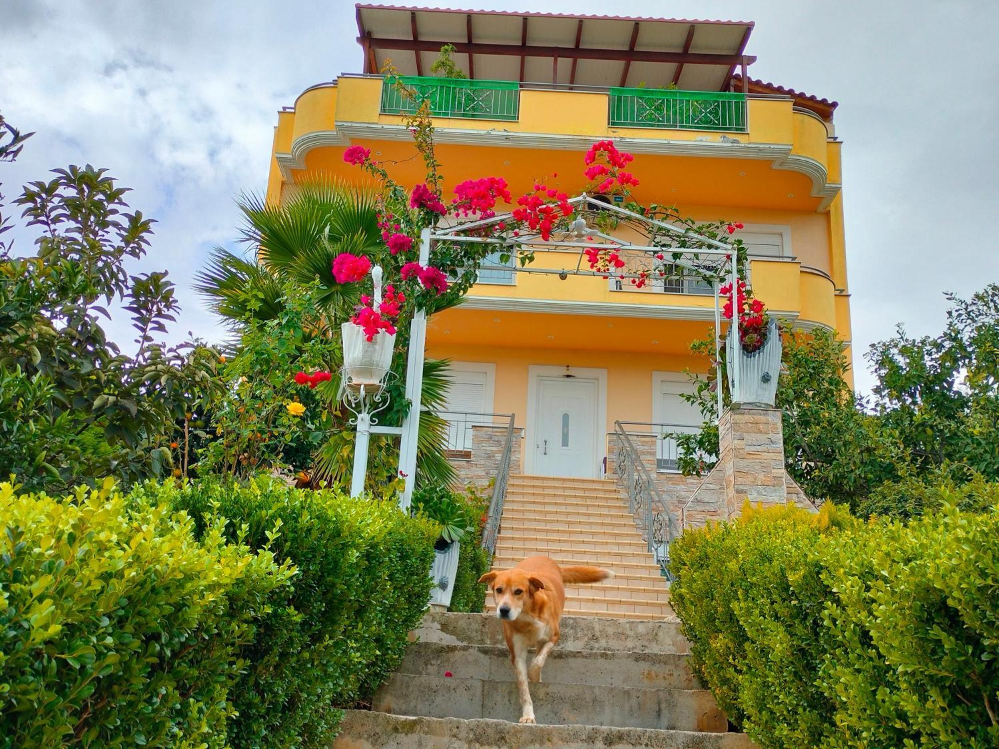 House With Wonderful View Cálcis Exterior foto